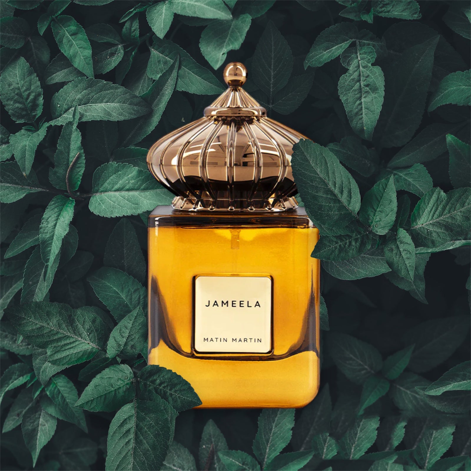 Jameela Eau de Parfum Matin Martin 100ml - Opulent Shop